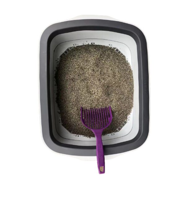 Cat20Litter-06A.jpg