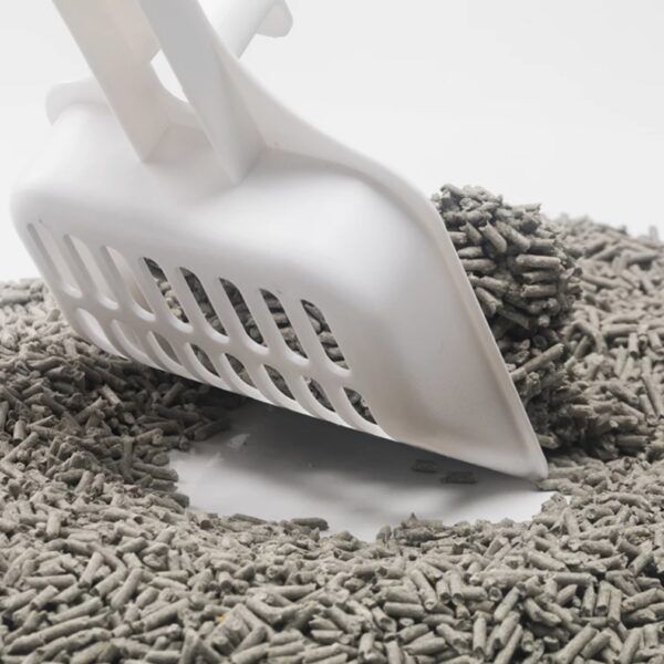 CatLitter_10.jpg