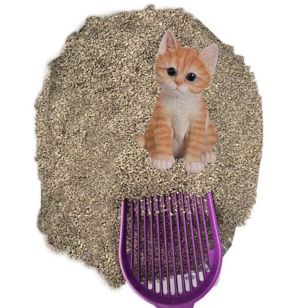 Cat_Litter-07B.jpg