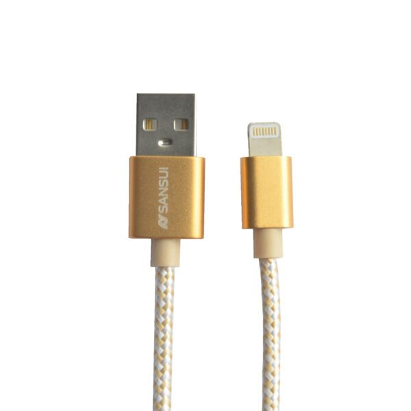 Data_Cable_2In1_Gold_01.jpg