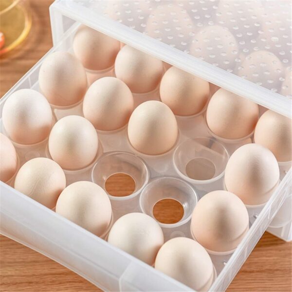 EggStorage_5.jpg