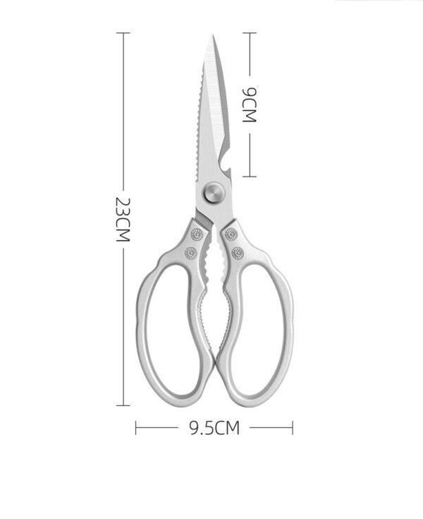 Scissors_08A.jpg