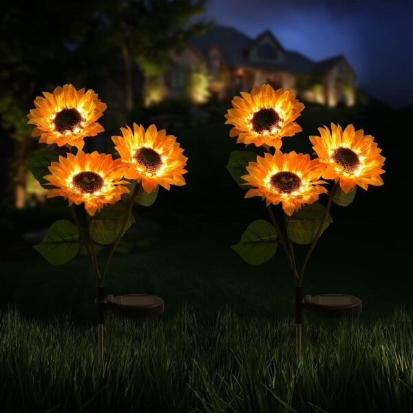 SunflowerLight_4.jpg