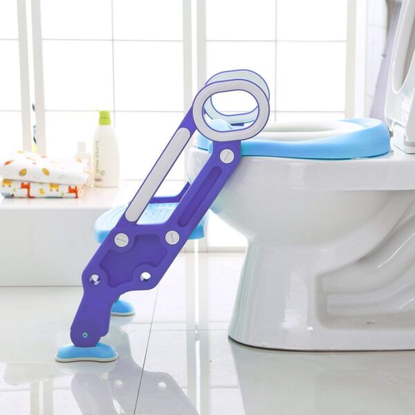 ToiletLadder_Blue_7.jpg