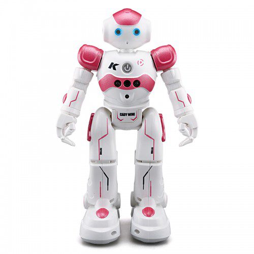 robot20222-500x500-1.jpg