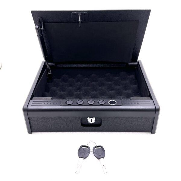 GunSafe_AD-B2_3